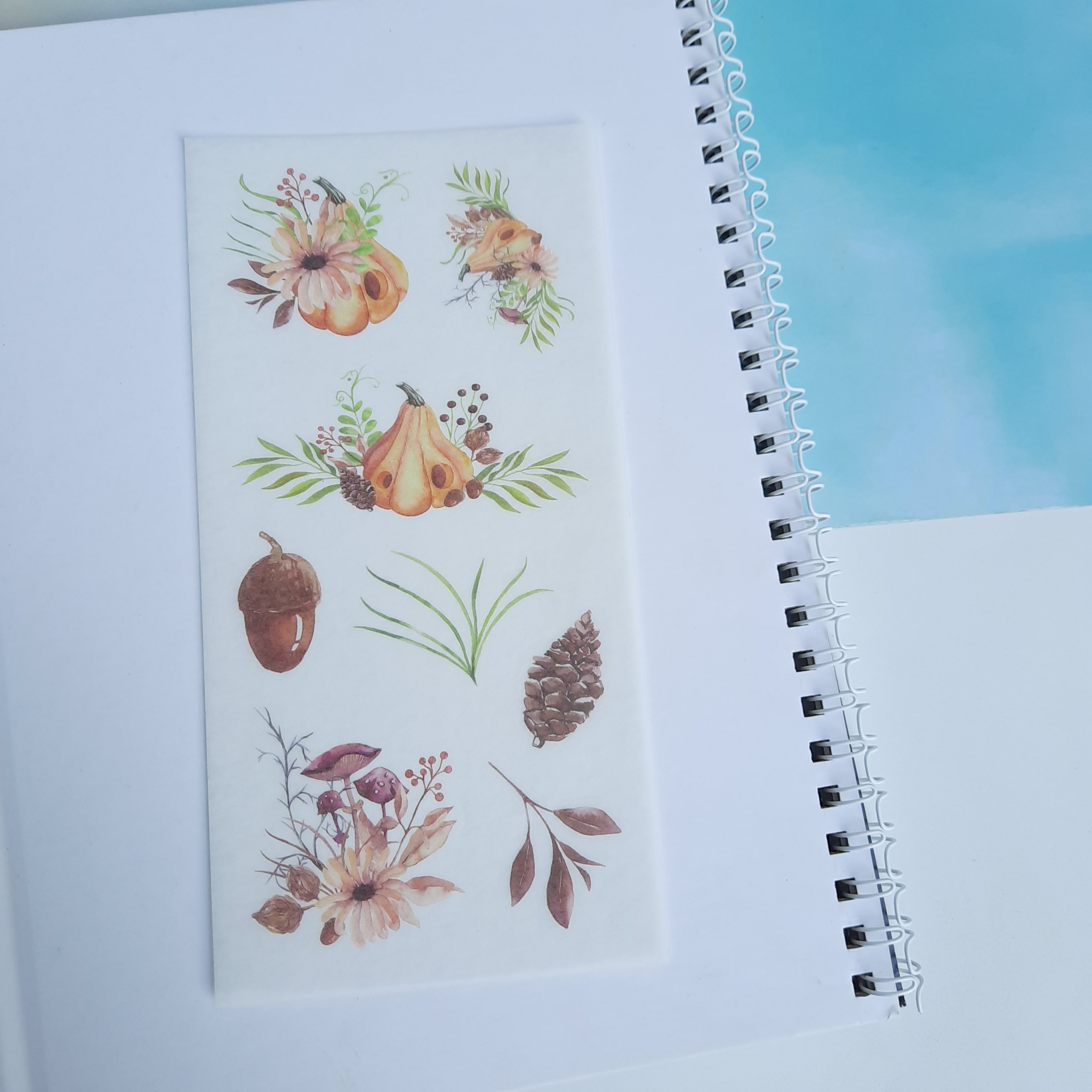 Bộ 6 Tấm Sticker Vườn Hoa Ma Quái