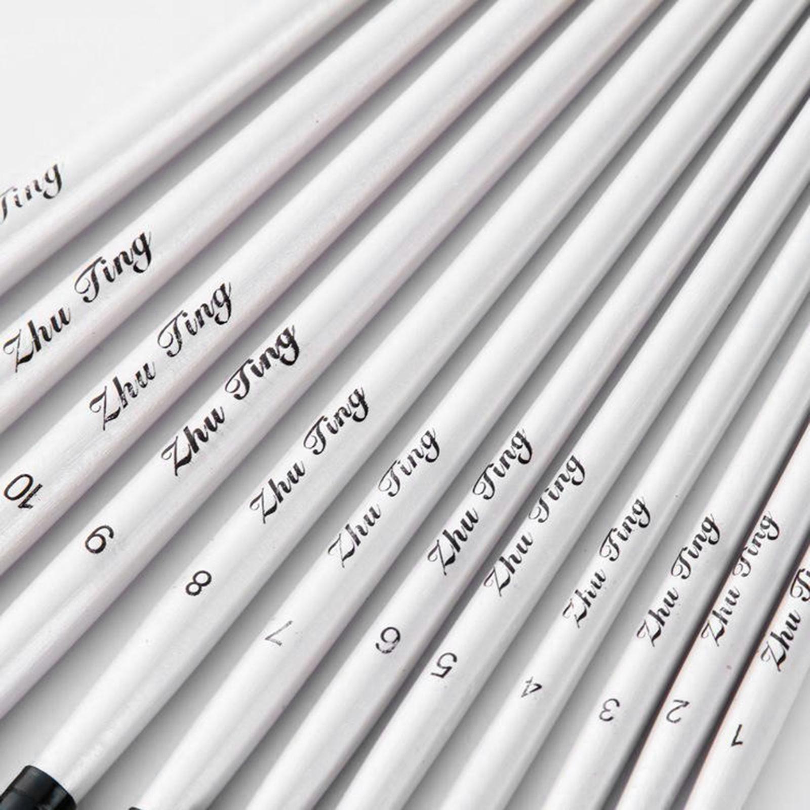 Paint Brushes Set,12Pcs Round Pointed Tip Paintbrushes Nylon Hair Artist Acrylic Paint Brushes for Acrylic Oil Watercolor, Face Nail Art,Rock Painting