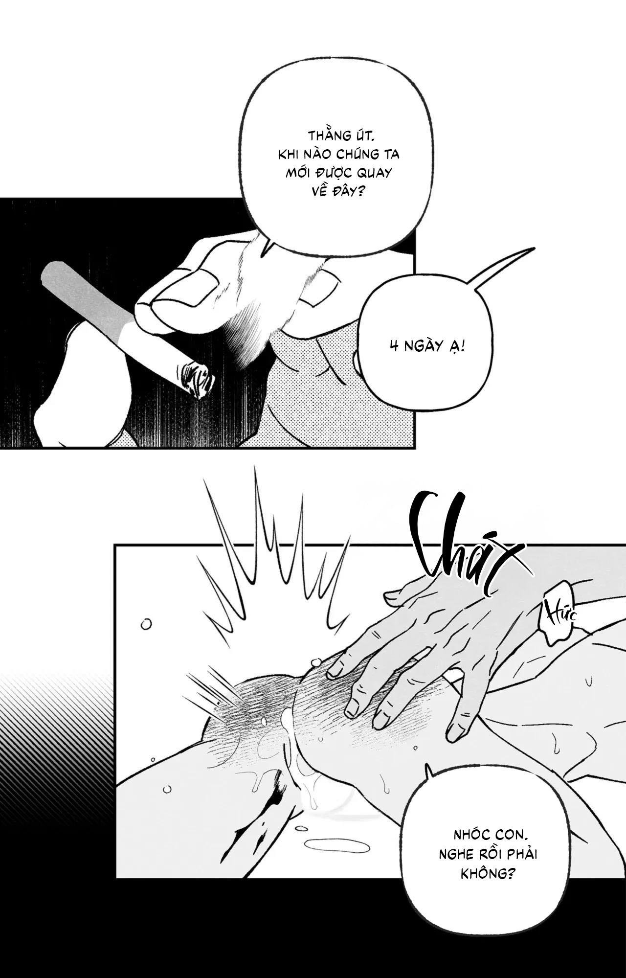 (cbunu) sự kết hợp hoàn hảo chapter 40 16