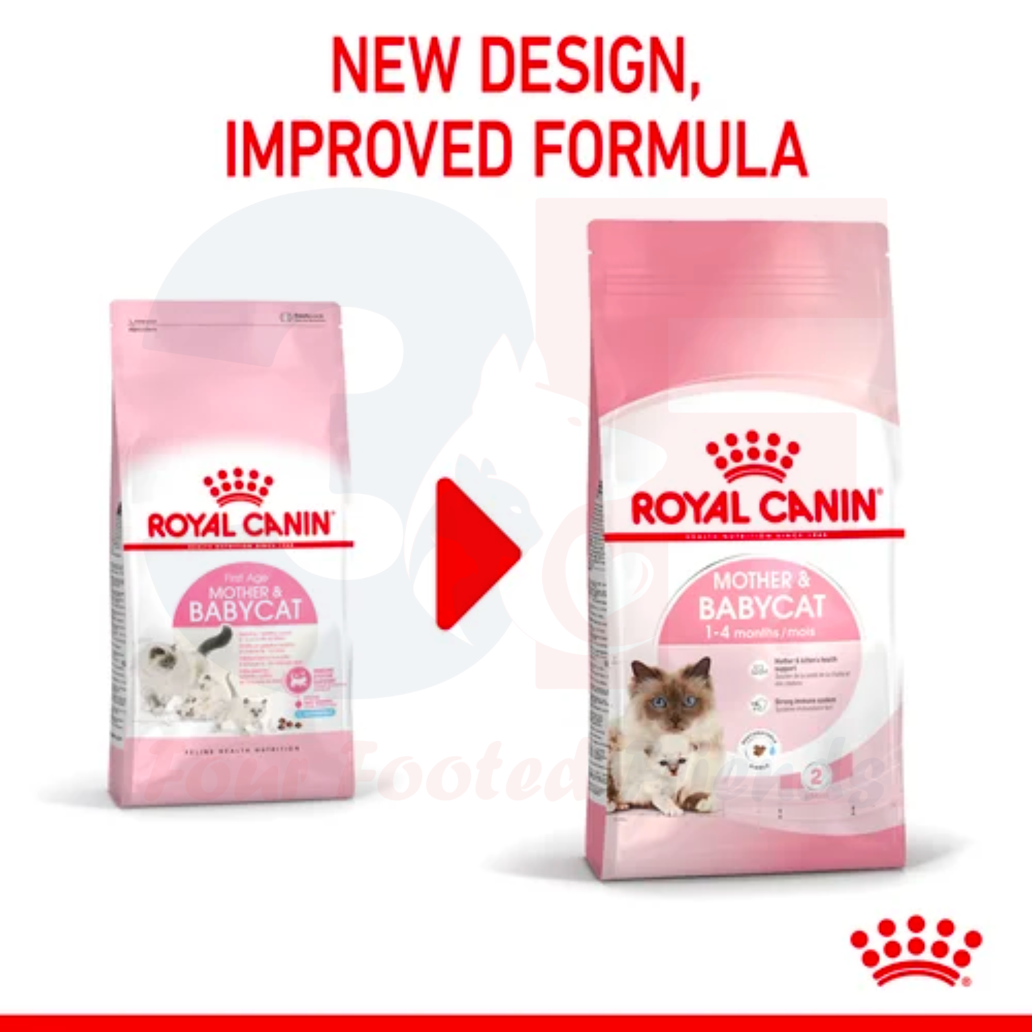 Thức Ăn Cho Mèo Mang Thai Và Mèo Con Royal Canin Mother Anh Babycat