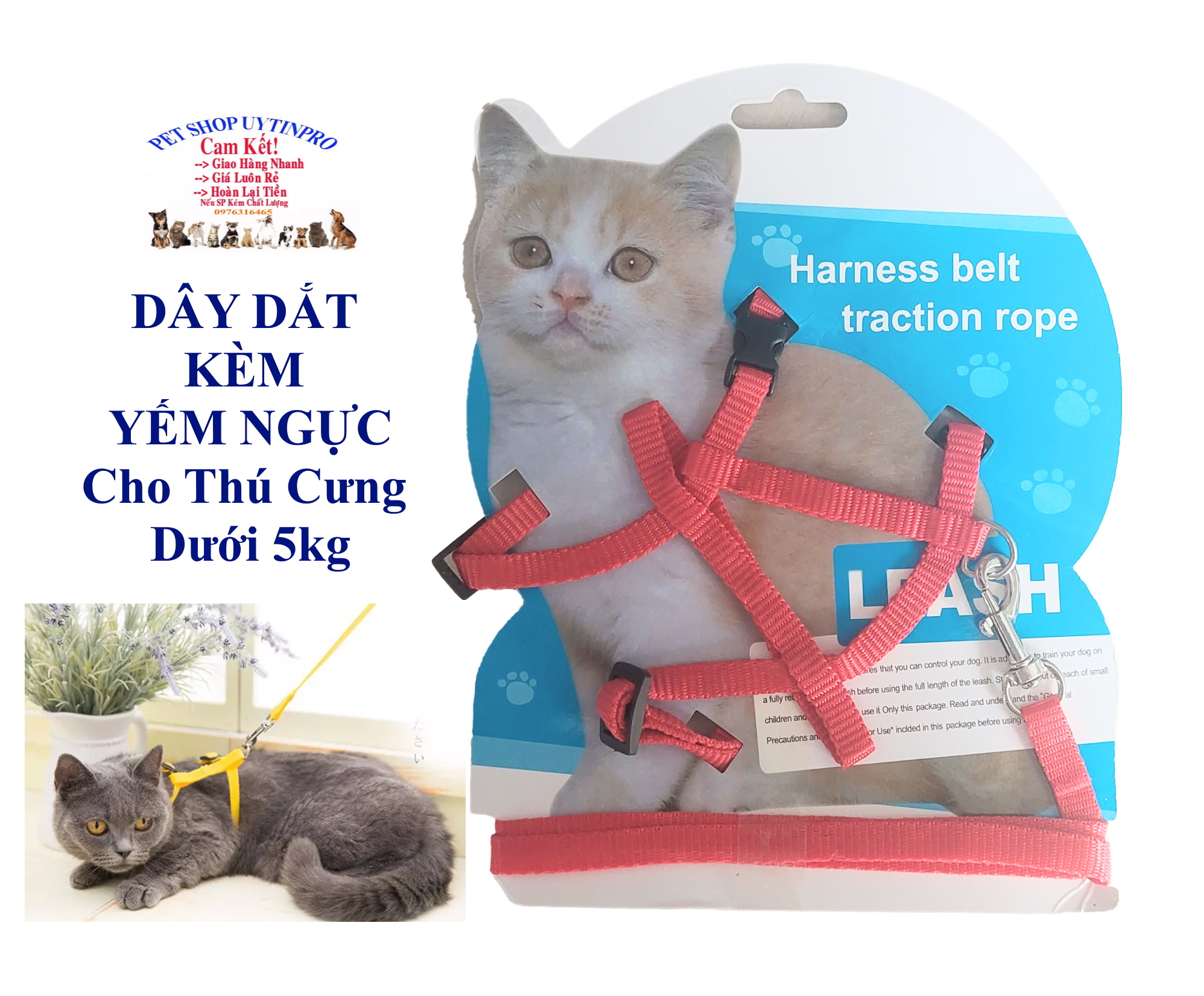 Dây dắt kèm yếm ngực cho Chó Mèo Pet Thú Cưng dưới 5kg Bản rộng 1cm Không in hình Chất liệu dù bền chắc, Dễ chịu khi đeo