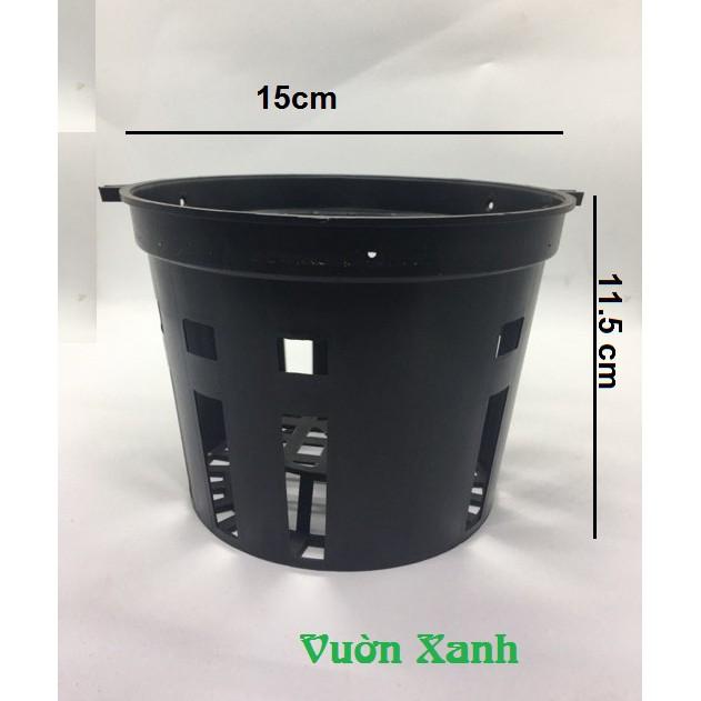 Combo 10 chậu lan đen phi 16