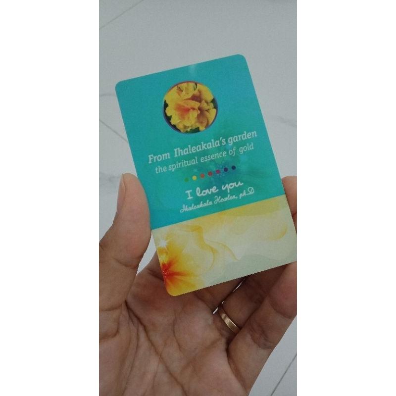 Combo 2 thẻ ATM hoa râm bụt kép thanh tẩy tài chính