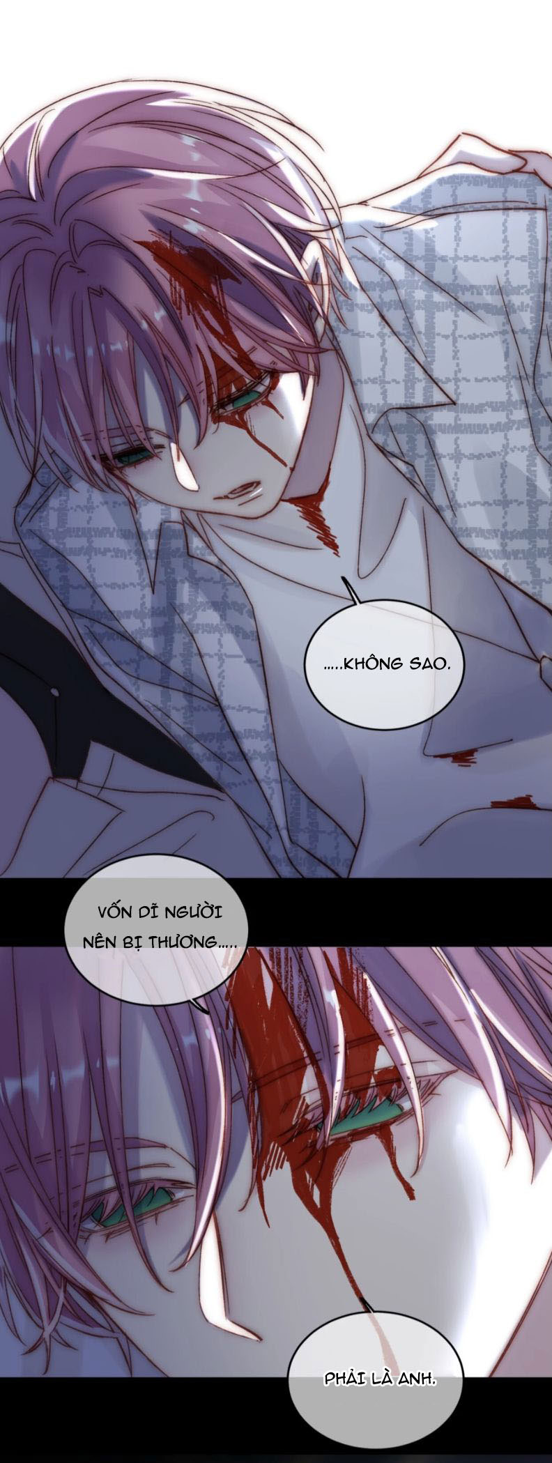 tôi phải làm 1 kẻ đại xấu xa chapter 27.5 9