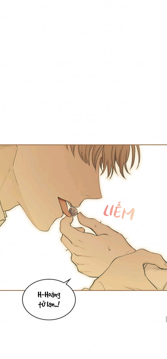 đi tìm nàng camellia chapter 0 24