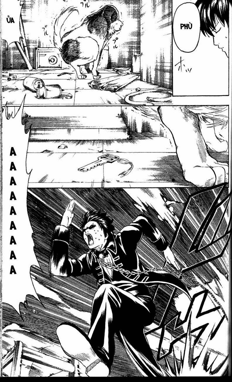 gintama - linh hồn bạc chapter 234 19
