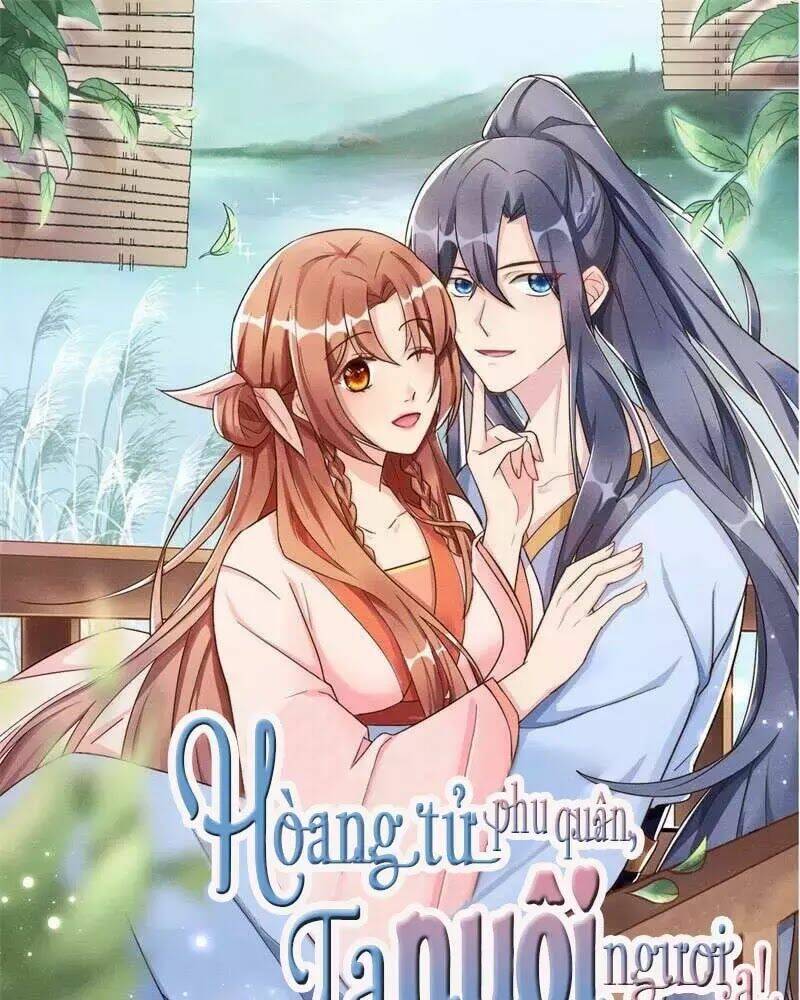 hoàng tử phu quân, ta nuôi ngươi a! chapter 1 1