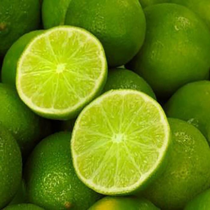 Cây GIỐNG Chanh giấy không hạt Limca.