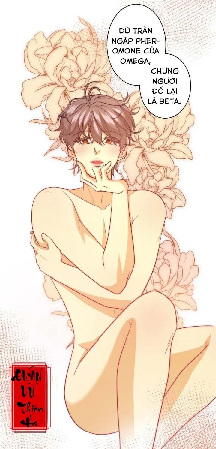 bí mật của omega k chapter 26 55