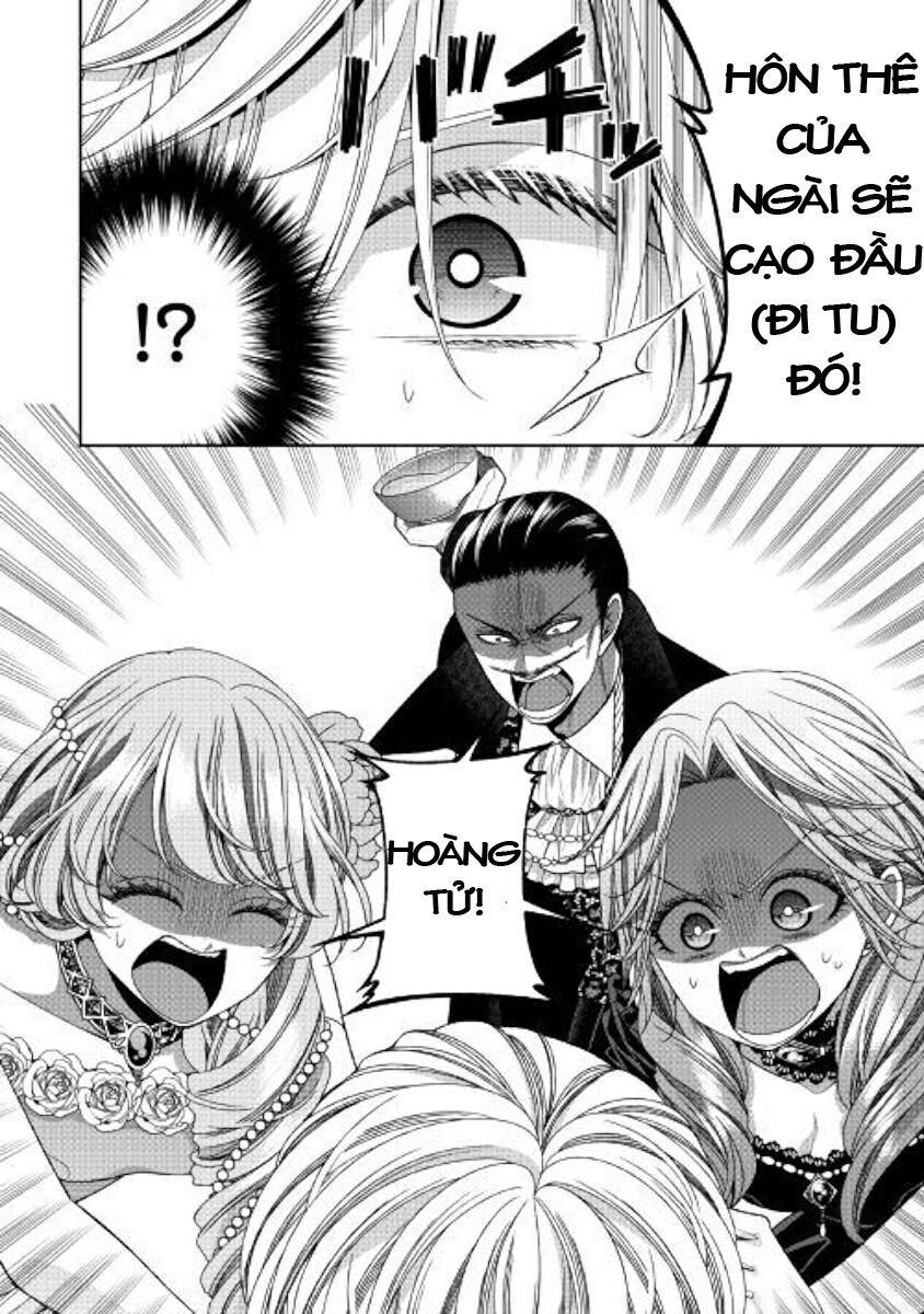 nhật ký theo dõi vị hôn thê tự nhận mình là nữ phụ phản diện 1 chapter 23 33