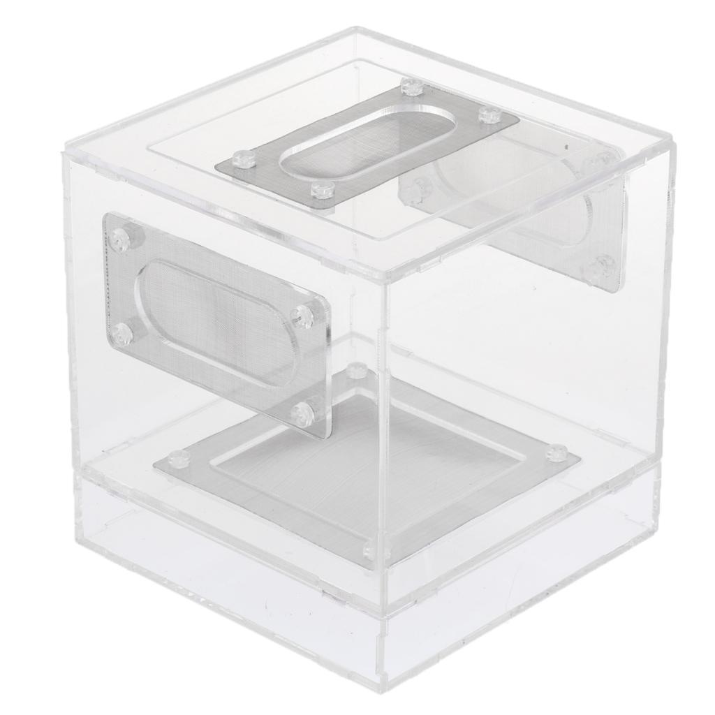 Small Reptile Lizard Spider Scorpion Insect Vivarium Feeding Rearing Box