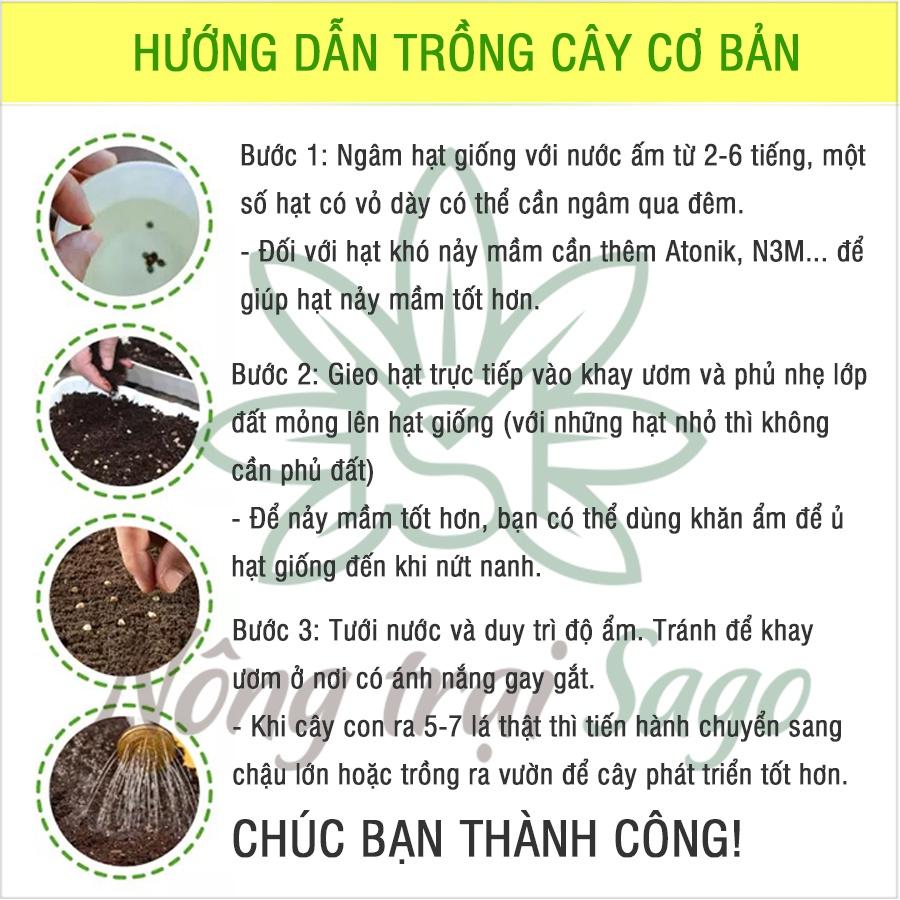 Hạt giống Tỏi Tây/ Hành Baro Năng Suất Cao, Trồng Quanh Năm - Nông Trại Sago