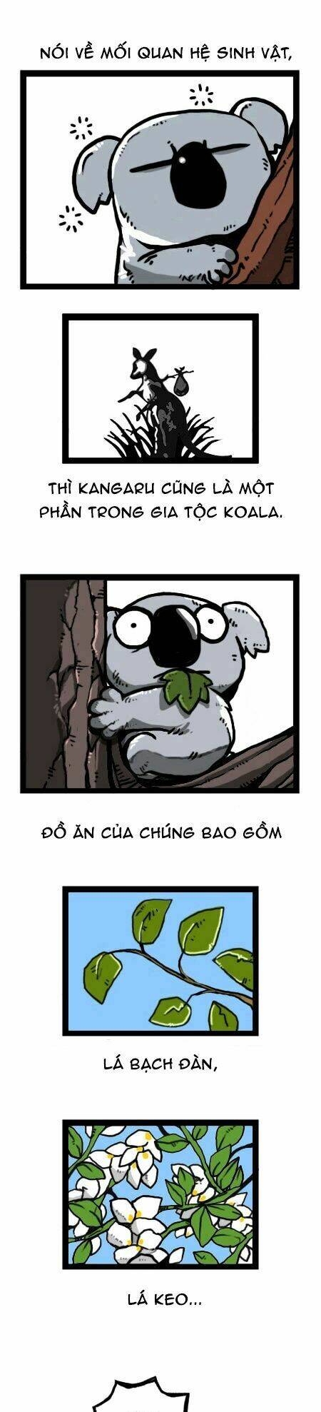 earth, human, and animal chapter 25 9