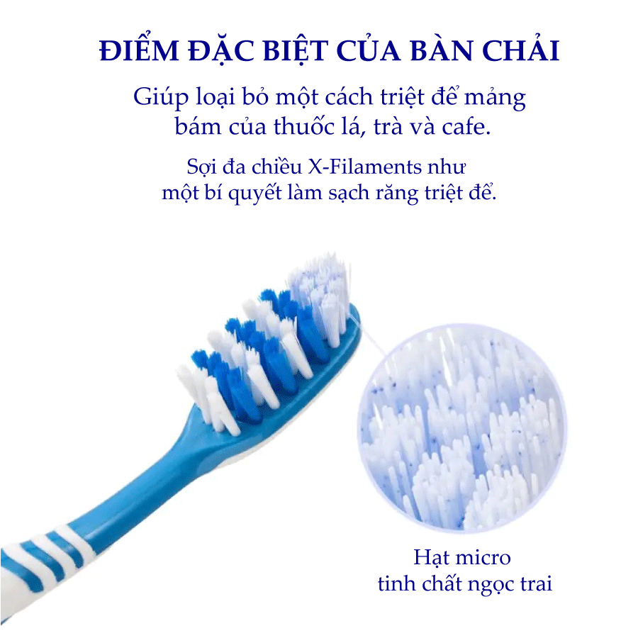 Bàn Chải Đánh Răng Dành Cho Người Hút Thuốc Trisa For Smokers