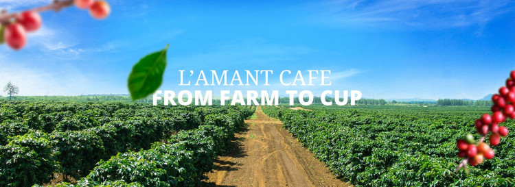 from-farm-to-cup.jpg