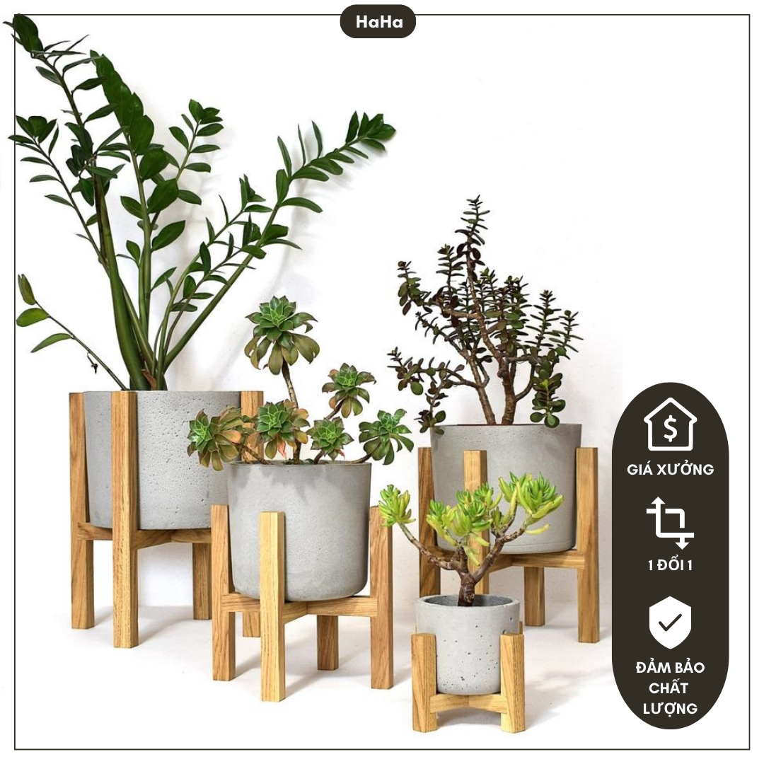 Chân Gỗ Đặt Chậu cây - Kệ Gỗ Để Chậu Hoa CCG01
