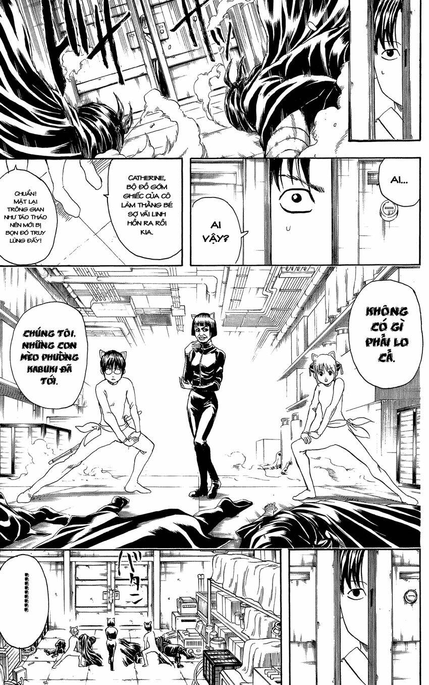 gintama - linh hồn bạc chapter 307 6