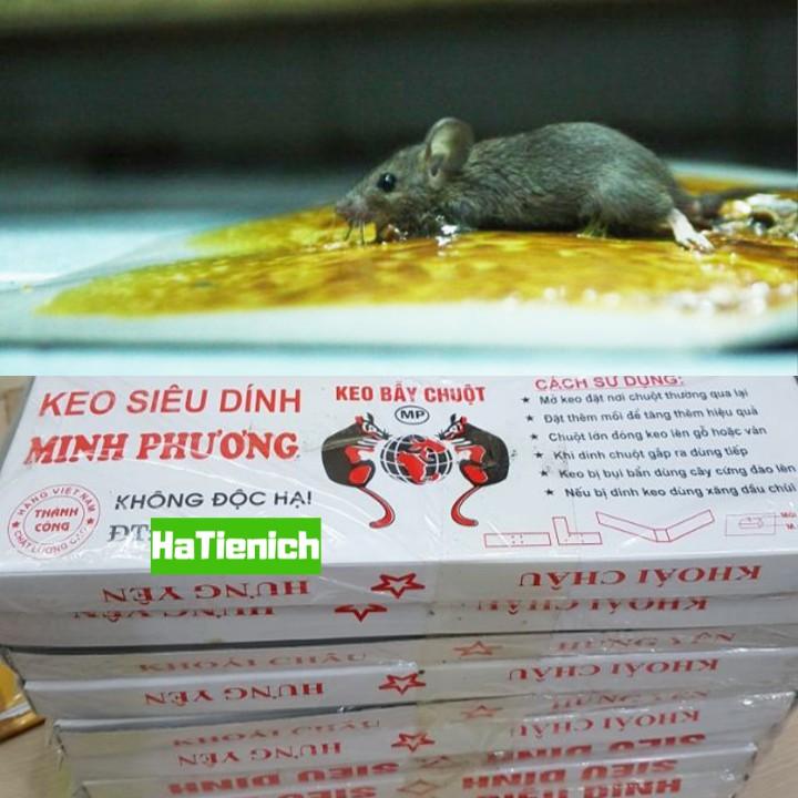 Keo dính chuột siêu dính