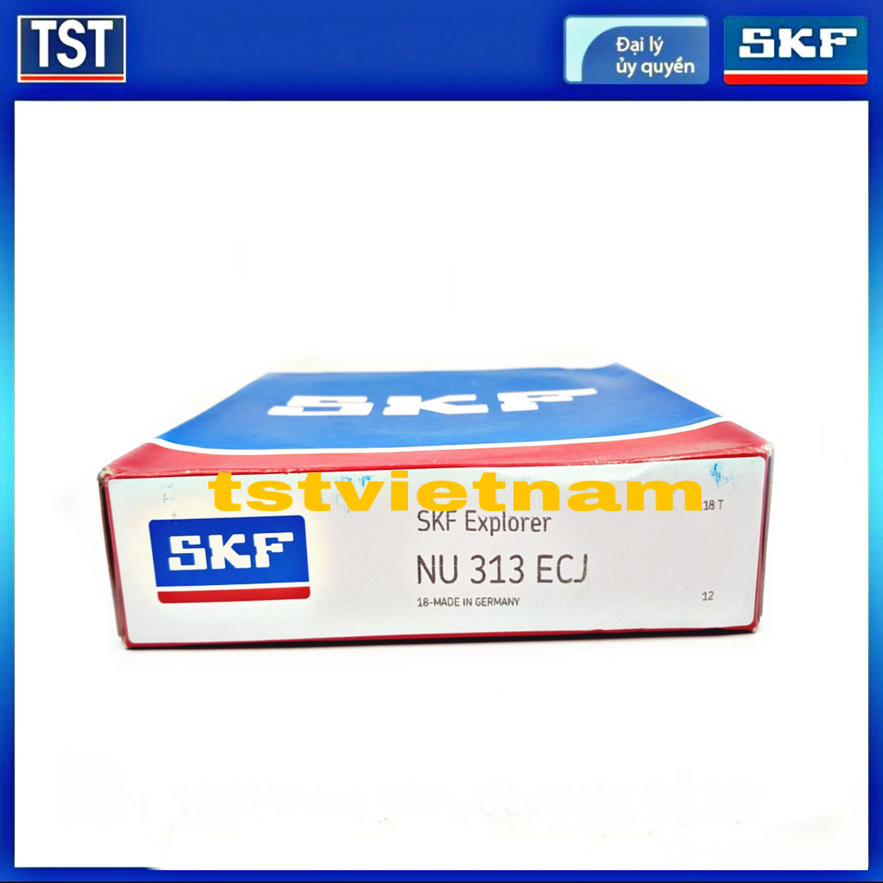 Vòng bi SKF NU 313 ECJ