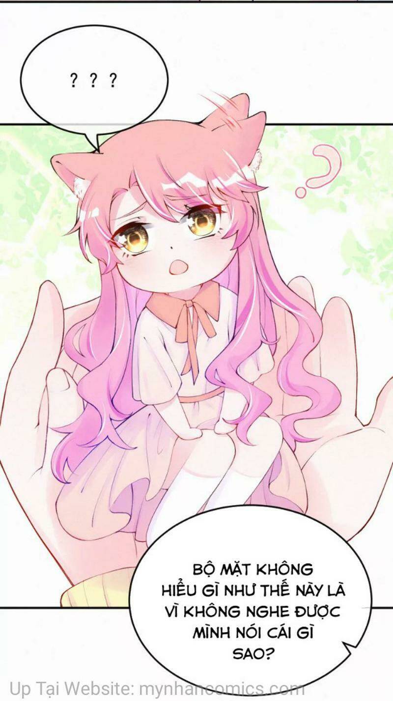 mami đột kích, thiên tài manh bảo khốc daddy chapter 102.1 10