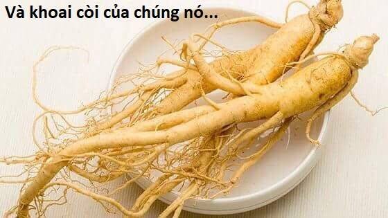 sự lụi tàn của usuzumi chapter 100 77