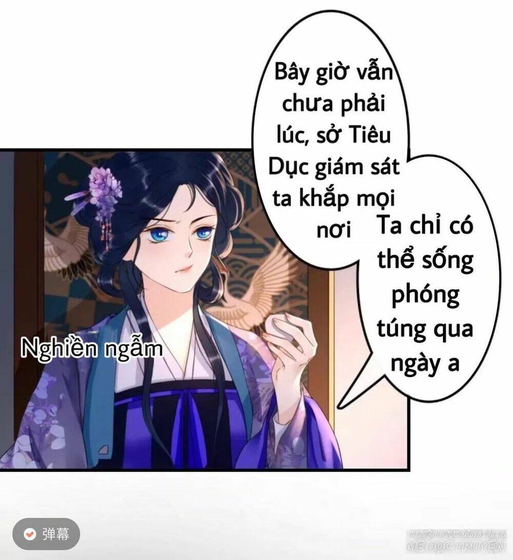 sủng phi của vương chapter 72 19