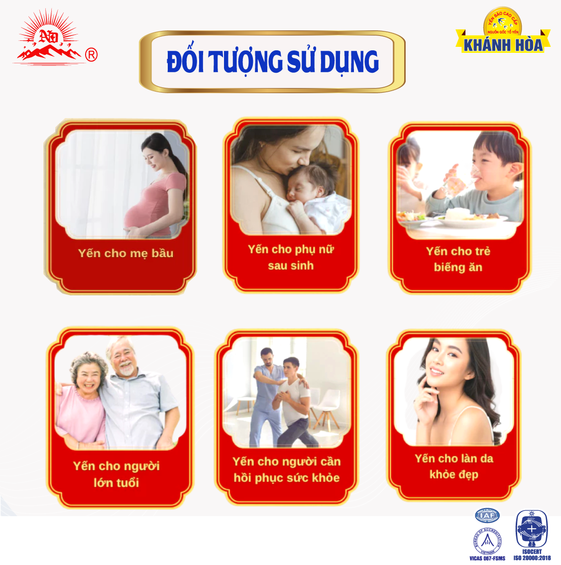 Tổ Yến Sào Khánh Hoà Ensure Nest Tiện Dụng Chưng Nhanh 20g - Kèm Đường Phèn , Táo đỏ