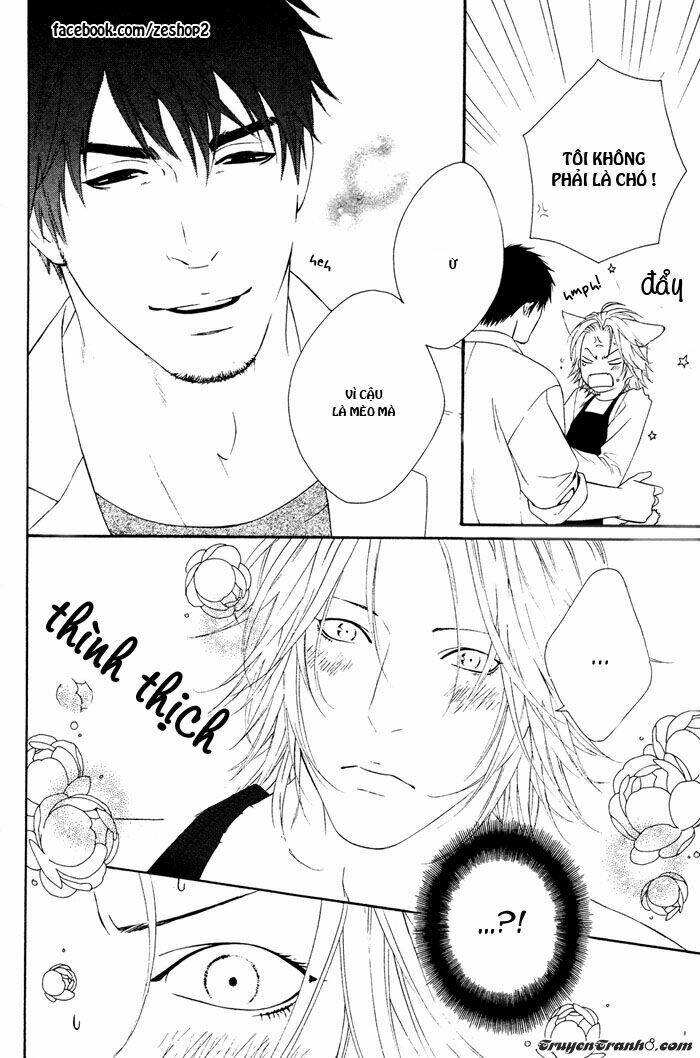 người nuôi mèo và bác sĩ thú y chapter 4 28