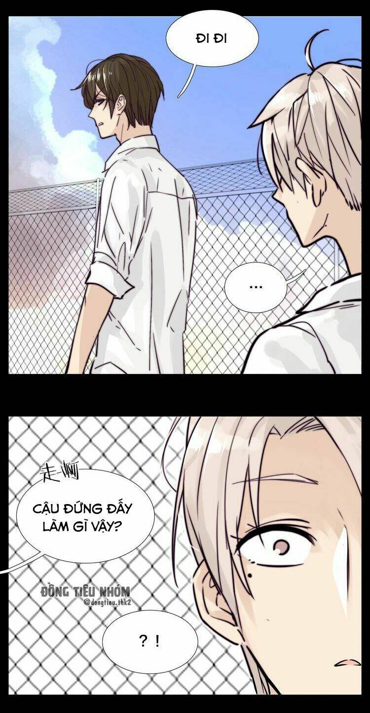 lấp lánh tình yêu kẹo bạc hà chapter 64 21