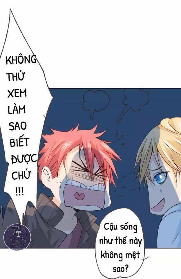 tôi không phải đa nhân cách chapter 20 22