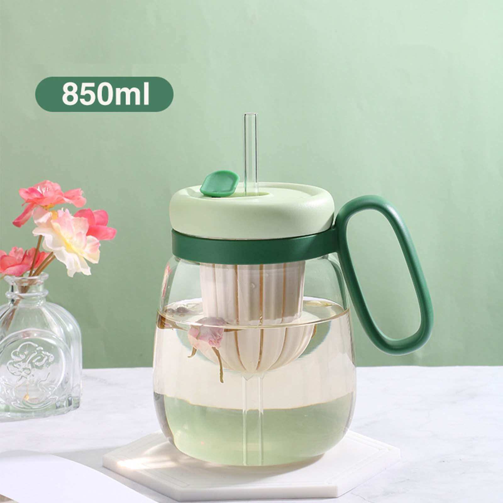 Glass Tumbler with Tea Infuser Water Bottle with Straw for Teen Girls Hiking