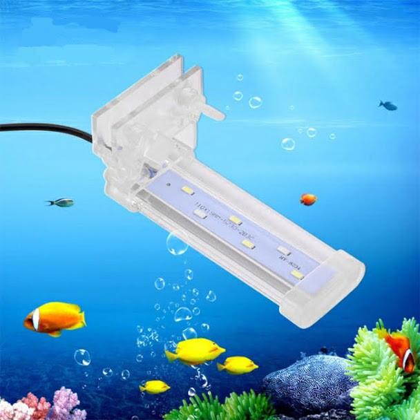 Đèn led gắn bể cá bể thủy sinh