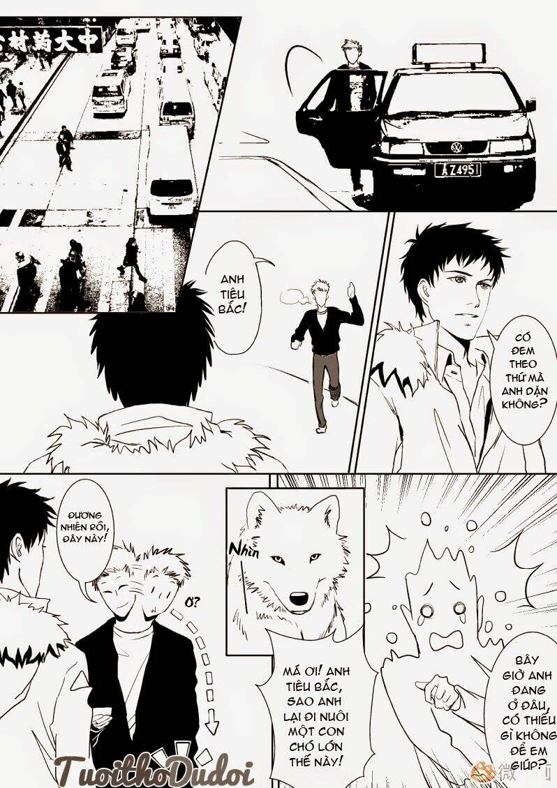 sự mê hoặc của sói chapter 11 10