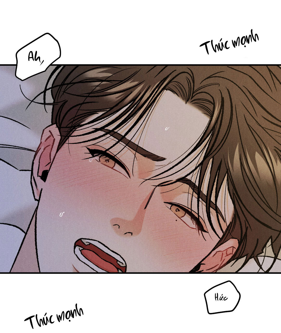 limited run chapter 11.1 24