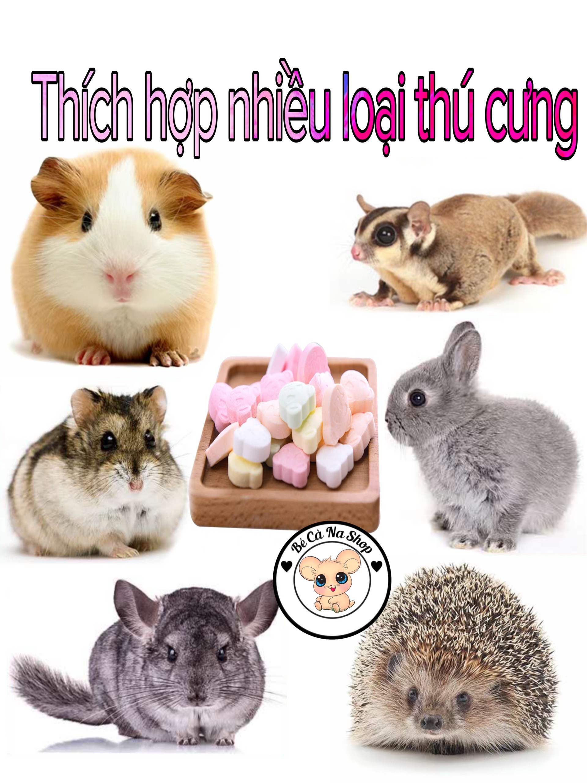 Vitamin trái cây hình gấu bổ sung dinh dưỡng thức ăn cho hamster thỏ bọ sóc chinchiilla