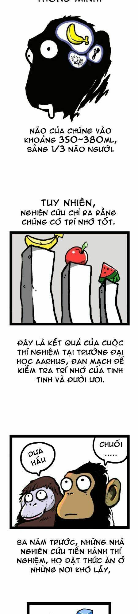 earth, human, and animal chapter 15 18