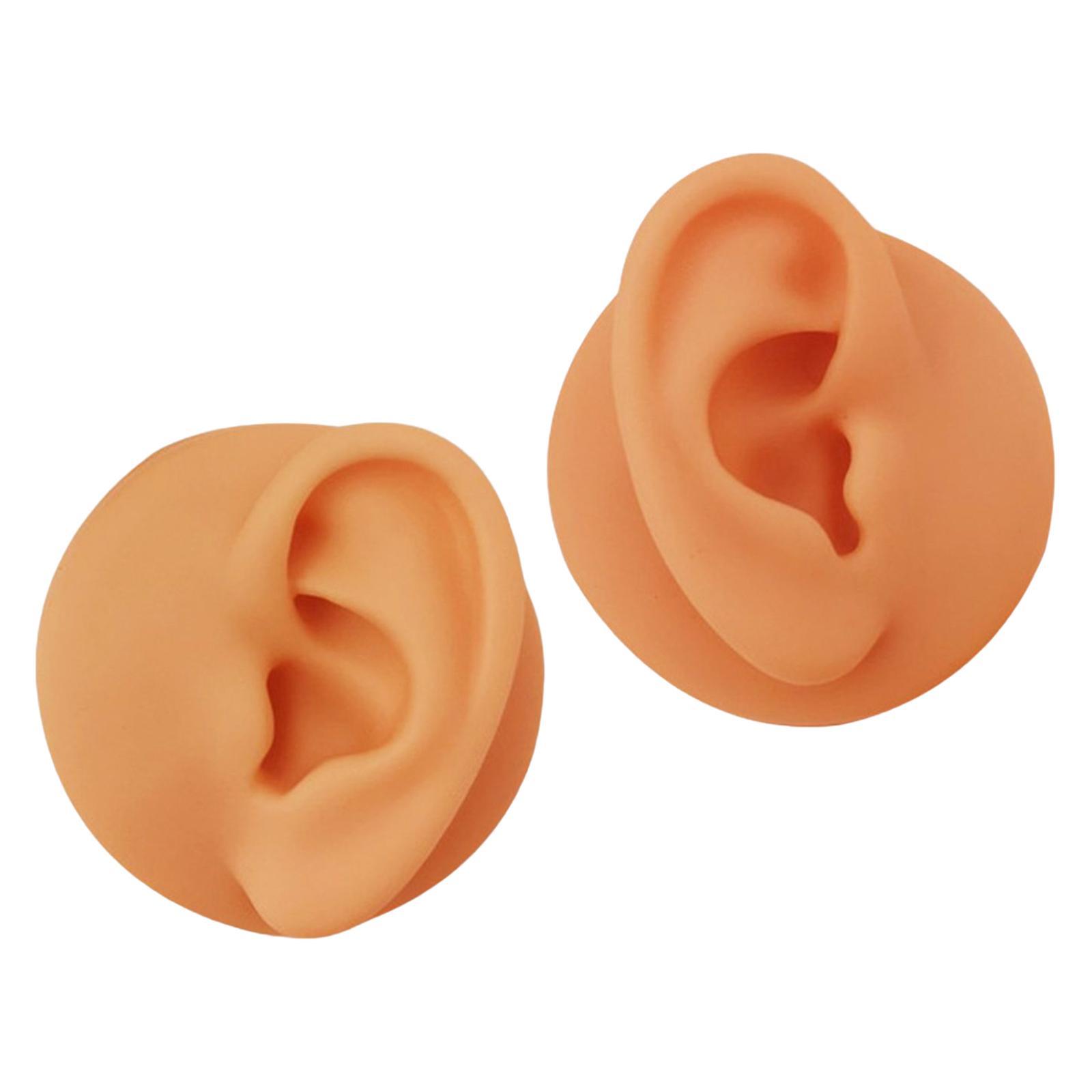 Soft Silicone Ear Model Simulated Ear Models Rubber Washable for Shop Brown