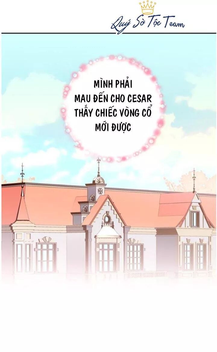 thánh nữ ẩn danh chapter 65 6