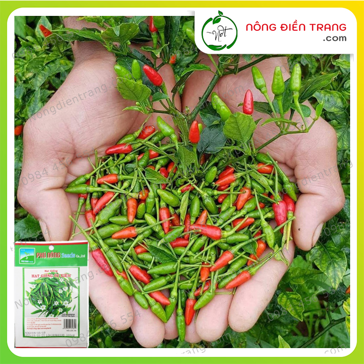 Hạt giống ớt Xiêm Phú Nông - Gói 0.1g - Dễ trồng sai trái sinh trưởng mạnh kháng bệnh tốt VTNN Nông Điền Trang