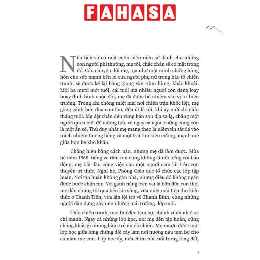 Sách - Rừng Cây Tùng - Bìa Cứng