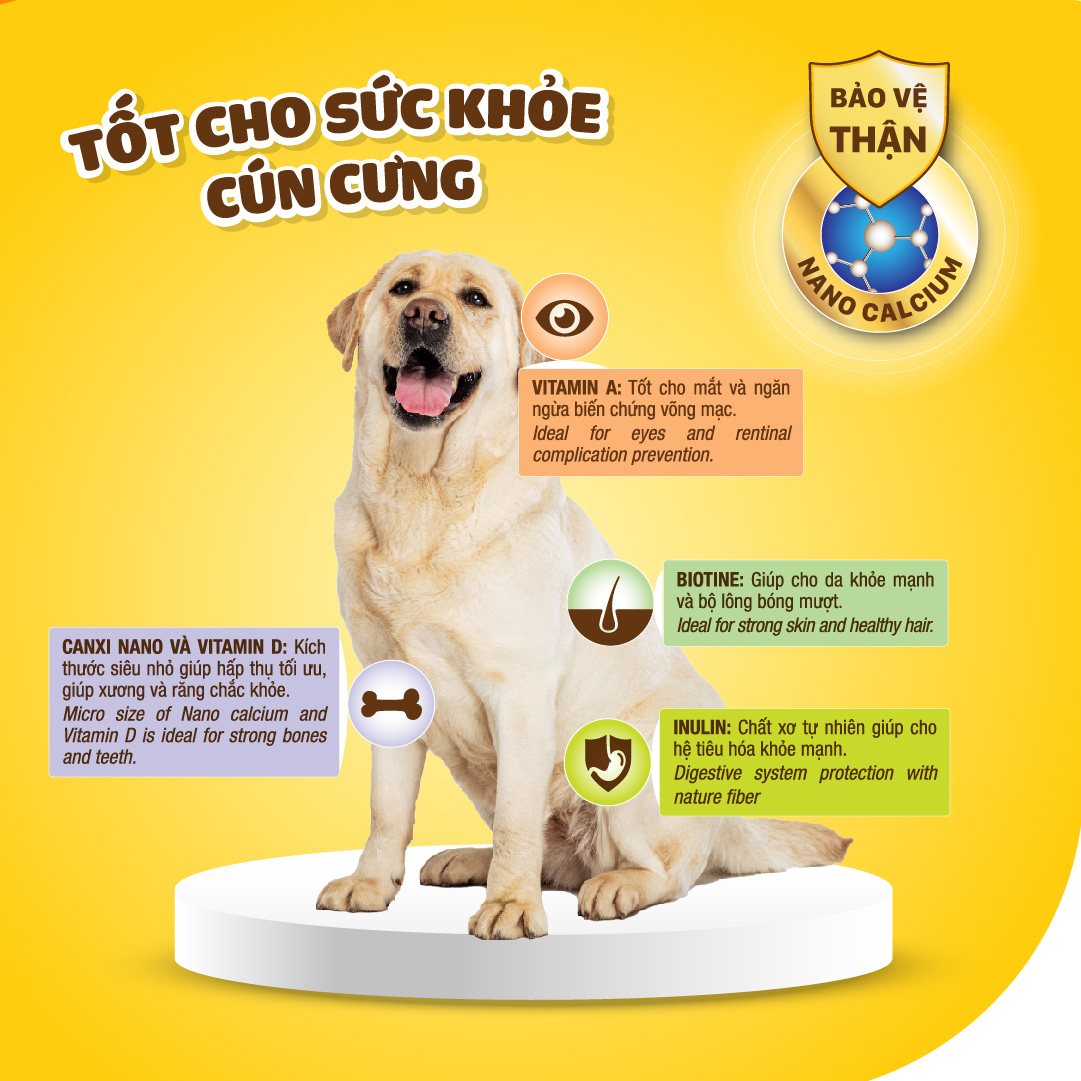 Dr.Kyan - Thức ăn hạt cho chó lớn Feed Do - Adutl 400g - Vị bò nướng pho mai