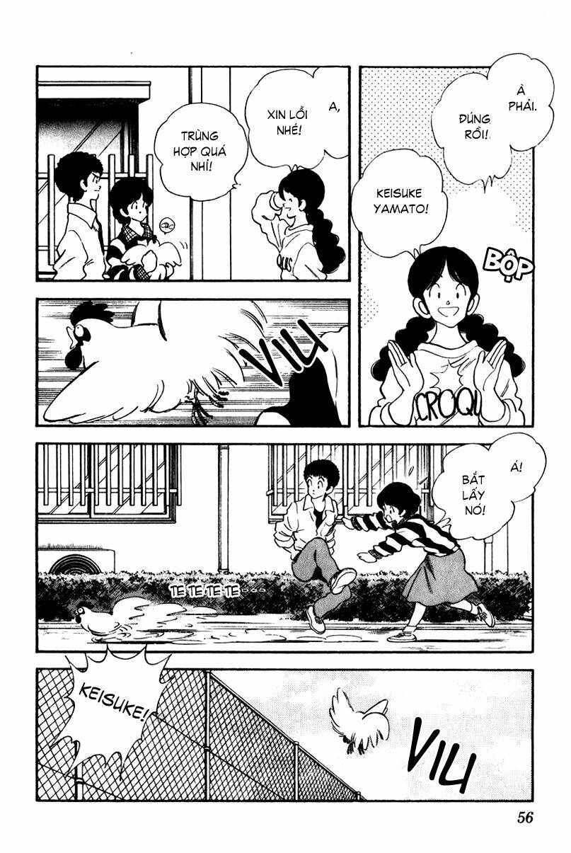 rough - ngọc thô chapter 32 11