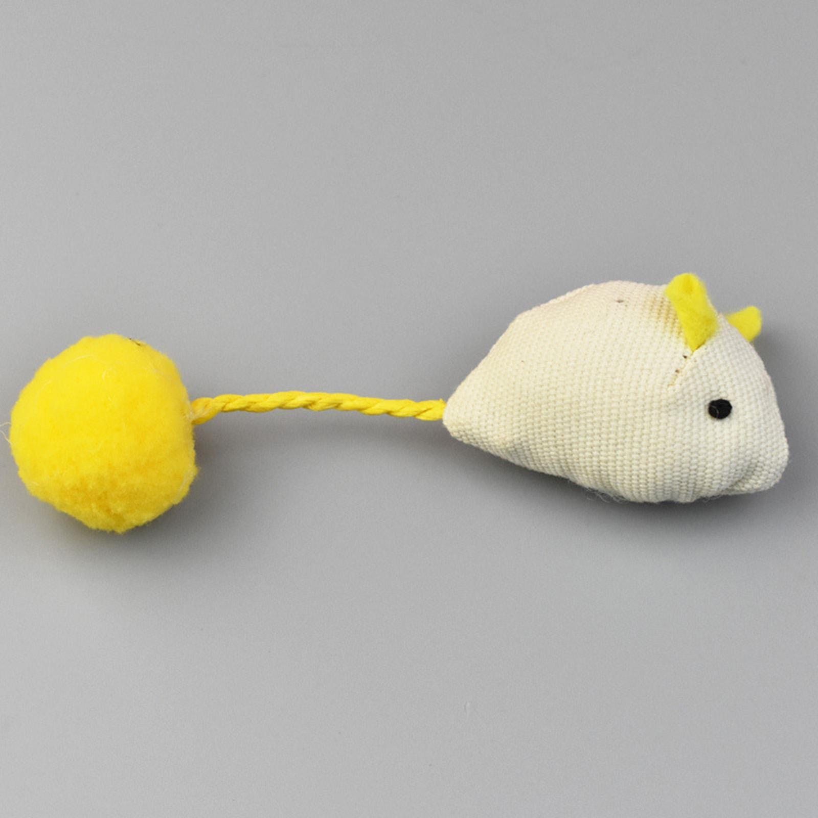 Cat , Cat Toy Soft Small Cat Toys for Indoor Cats Interactive Cat Toy for Cats and Kitten