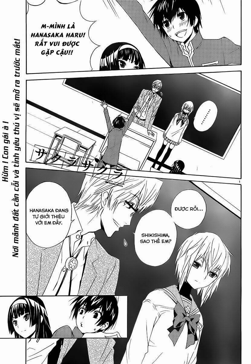sakura sakura (morishige) chapter 2 3