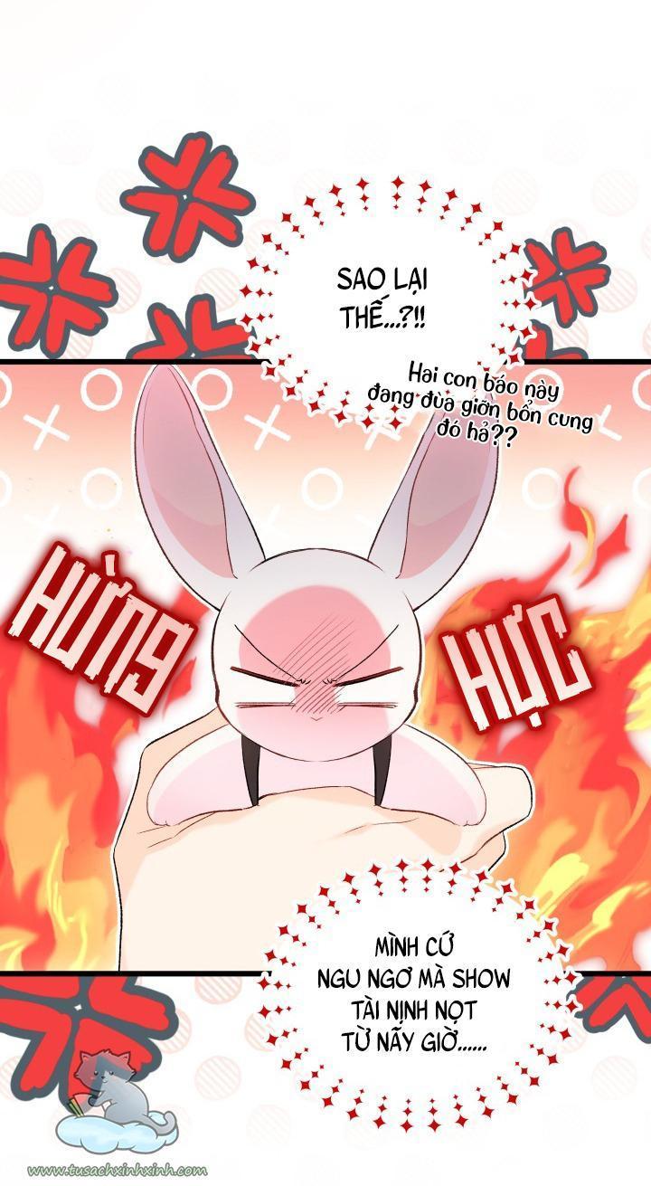 quan hệ cộng sinh giữa báo đen và thỏ trắng chapter 59 63