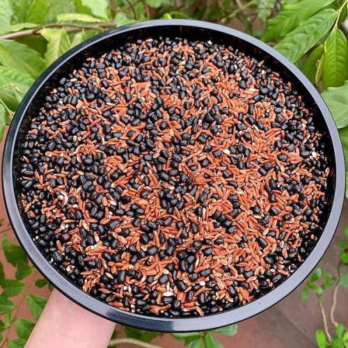 Trà gạo lứt huyết rồng - đậu đen xanh lòng MS (01kg) - Thanh nhiệt, mát gan, lợi sữa