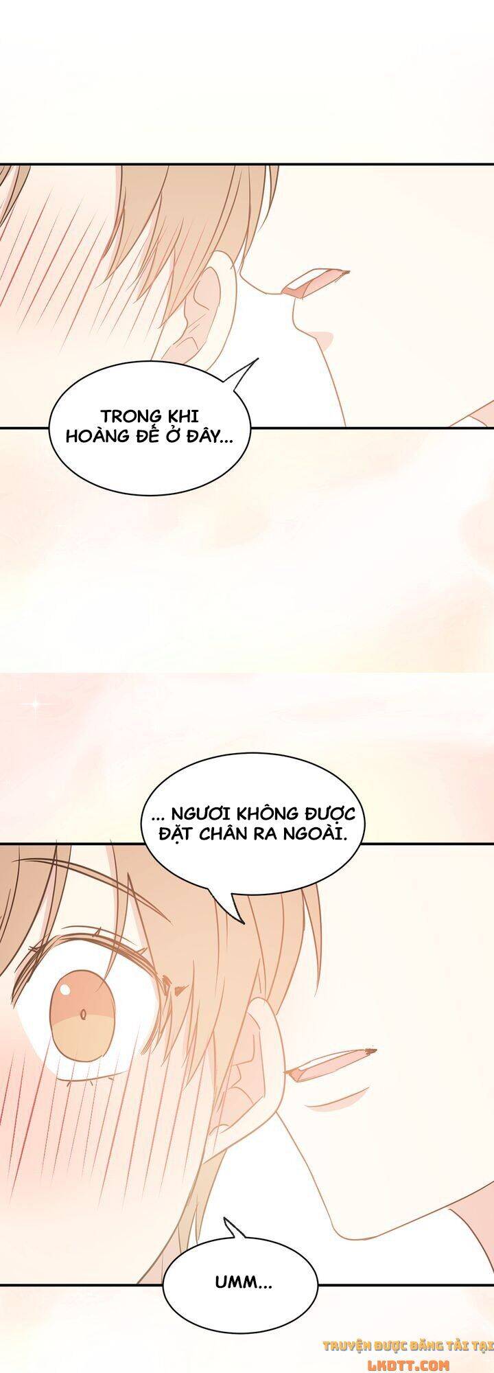 tôi sẽ đi đến cùng với hoàng đế chapter 29 7