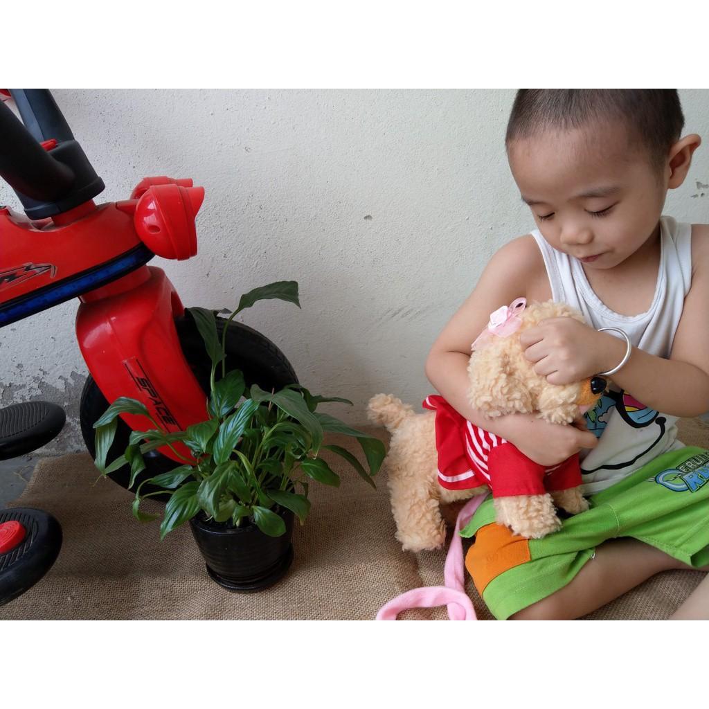 Chó bông biết hát nhạc , biết kêu, biết đi, biết lắc mông xinh siêu kute thân thiện với bé thích động vật