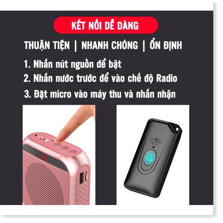 Bộ Micro-Loa trợ giảng nhỏ gọn PUNNY PINK