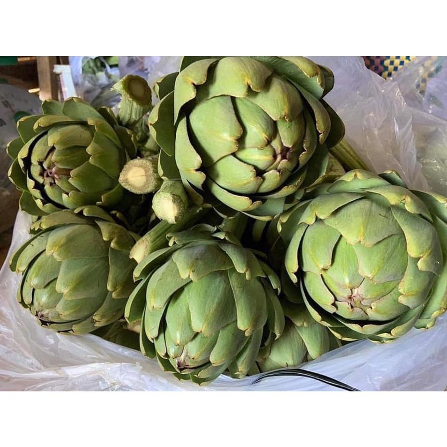 Hạt giống Atisô xanh